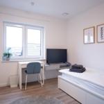 Schlafzimmer mit Bett, Schreibtisch, TV und Fenster.