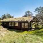 Holzhaus mit grüner Dachdecke, großflächige Fenster und Außenterrasse in ländlicher Umgebung.