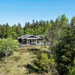 Holzhaus mit Terrasse im Wald, umgeben von Bäumen und Gras.