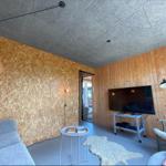 Wohnzimmer mit Sofa, Fernseher und Holzwand. Tür führt nach draußen.