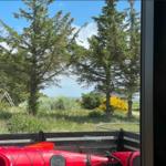 Roter Kajak im Vordergrund, Blick auf Bäume und Grasland.