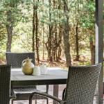 Terrasse mit Tisch und Stühlen im Wald. Auf dem Tisch stehen Teekanne und Tassen.