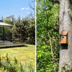 Terrasse mit Garten und Vogelhaus an Baum