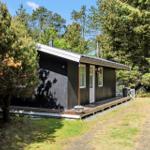 Ein kleines Haus mit dunkler Fassade und weißer Tür steht im Wald. Eine Terrasse führt zur Eingangstür.