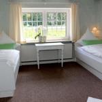 Zwei Einzelbetten mit grünen Kissen, Fenster mit Vorhängen und Schreibtisch.