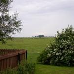 Grünes Feld mit Holzzaun und blühendem Strauch im Vordergrund.