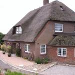 Haus mit Strohdach, roten Ziegel und weißen Fenstern. Gartenbereich mit Pflanzen und Holzrad.