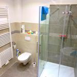 Badezimmer mit Dusche, Toilette und Heizkörper.