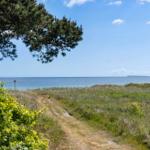 Weg führt durch Grasland zum Meer unter blauem Himmel