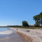 Strand mit Sand, Wasser und Bäumen. Zwei Personen gehen entlang des Ufers.