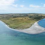 Aerielansicht einer grünen Insel mit sandigem Strand und türkisfarbenem Wasser.