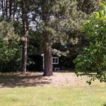 Wooden house in the forest with green lawn and tall trees.