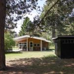 Wooden house with terrace and barbecue area in the woods. Next to a dark shed.