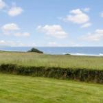 Grünes Gelände mit Blick auf das Meer unter blauem Himmel mit weißen Wolken.