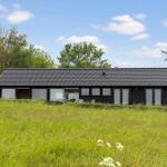 Moderne schwarze Hütte mit Glasfronten in grüner Landschaft unter blauem Himmel.