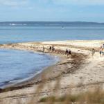 Strand mit Menschen, die spazieren gehen, und Blick aufs Meer mit Windkraftanlagen im Hintergrund.