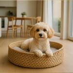 Ein kleiner Hund sitzt in einem geflochtenen Korb auf dem Holzboden.