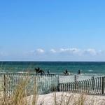 Strand mit Pferden und Menschen, getrennt durch Sanddunen und Zaun.