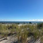 Strand mit Dünen und Blick auf das Meer unter blauem Himmel