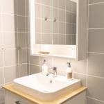 Badezimmer mit Waschbecken, Spiegelschrank und Seifenspender.