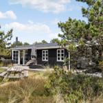 Schwarzes Haus mit Terrasse, Grill und Picknicktisch unter Bäumen.