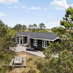 Schwarze Hütte mit Terrasse, umgeben von Nadelbäumen und einem Picknicktisch.