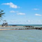 Strand mit Steinen und Holzkonstruktion am Wasser.