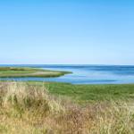 Weitläufiger Blick auf Küstenlandschaft mit Gras und Wasser unter blauem Himmel.