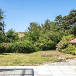 Garten mit Grasfläche, Bäumen und Steinweg vor Holzgebäude.