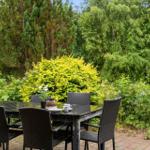Terrasse mit Tisch und Stühlen, umgeben von grüner Vegetation und einem gelben Strauch.