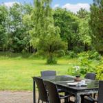 Terrasse mit Tisch und Stühlen, umgeben von Grünfläche und Bäumen.