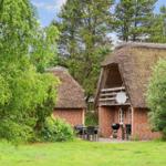 Zwei strohgedeckte Häuser mit Terrasse, Grill und Satellitenantenne im Grünen.