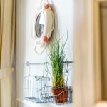 Wand mit Rettungsring, Pflanze in Korb und Vorhang