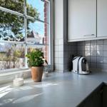 Küchenfenster mit Pflanze und Kaffeemaschine auf Arbeitsfläche