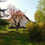 Weißes Haus mit Schopf und Blühbaum im Garten.