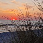 Sonnenuntergang über dem Meer mit Strandgras im Vordergrund.