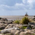 Fishing boat on the water, surrounded by stones and grass.