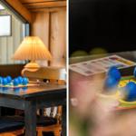 Tisch mit Spielzeug und Lampe in einem Raum mit Holzwänden.