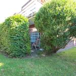 Hinterhof mit Garten, Beete und Sitzgelegenheit unter Bäumen.