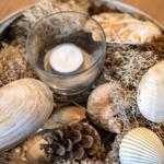 Dekorative Schale mit Muscheln, Kiefernzapfen und Kerze auf Holztisch