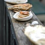 Verschiedene Muscheln und Schalentiere liegen auf einer Holzbrüstung.