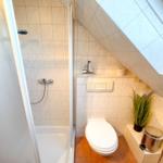 Badezimmer mit Dusche, Toilette und Dachfenster. Holzfußboden und Wandfliesen.