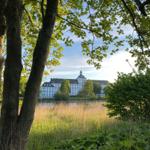 Schloss im Hintergrund durch Bäume und Gras sichtbar