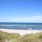 Beach with sand and grass, sea and blue sky