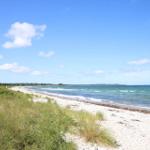 Beach with white stones and green vegetation along the shore.