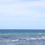 View of the sea under a clear sky