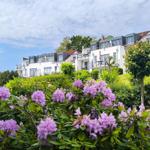 Weiße Häuser mit Balkonen auf grüner Anhöhe, vorn lila Rhododendronblüten.
