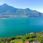Lakeside View with Mountains and Greenery