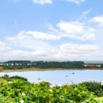 Blick auf einen See mit Booten und grüner Landschaft im Hintergrund.
