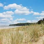 Strand mit Dünen und bewölktem Himmel. Im Hintergrund See und Wald.